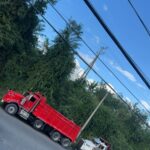 haulage trucks for construction